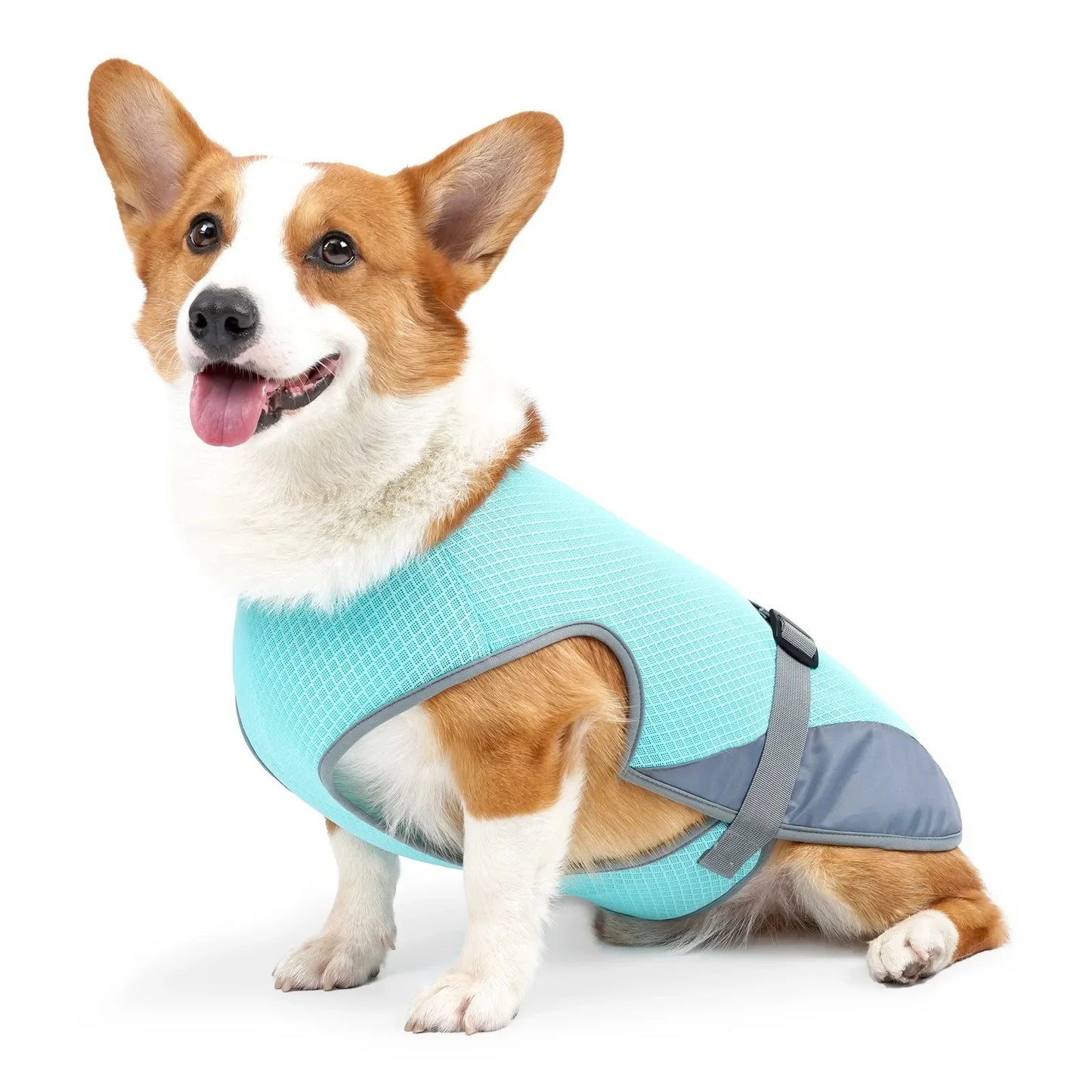 ChillPup Dog Cooling Vest